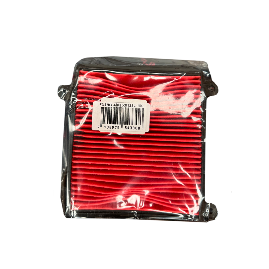 Elemento Filtro Aire