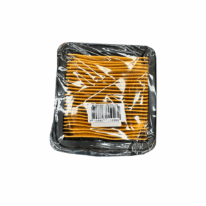 Elemento Filtro Aire