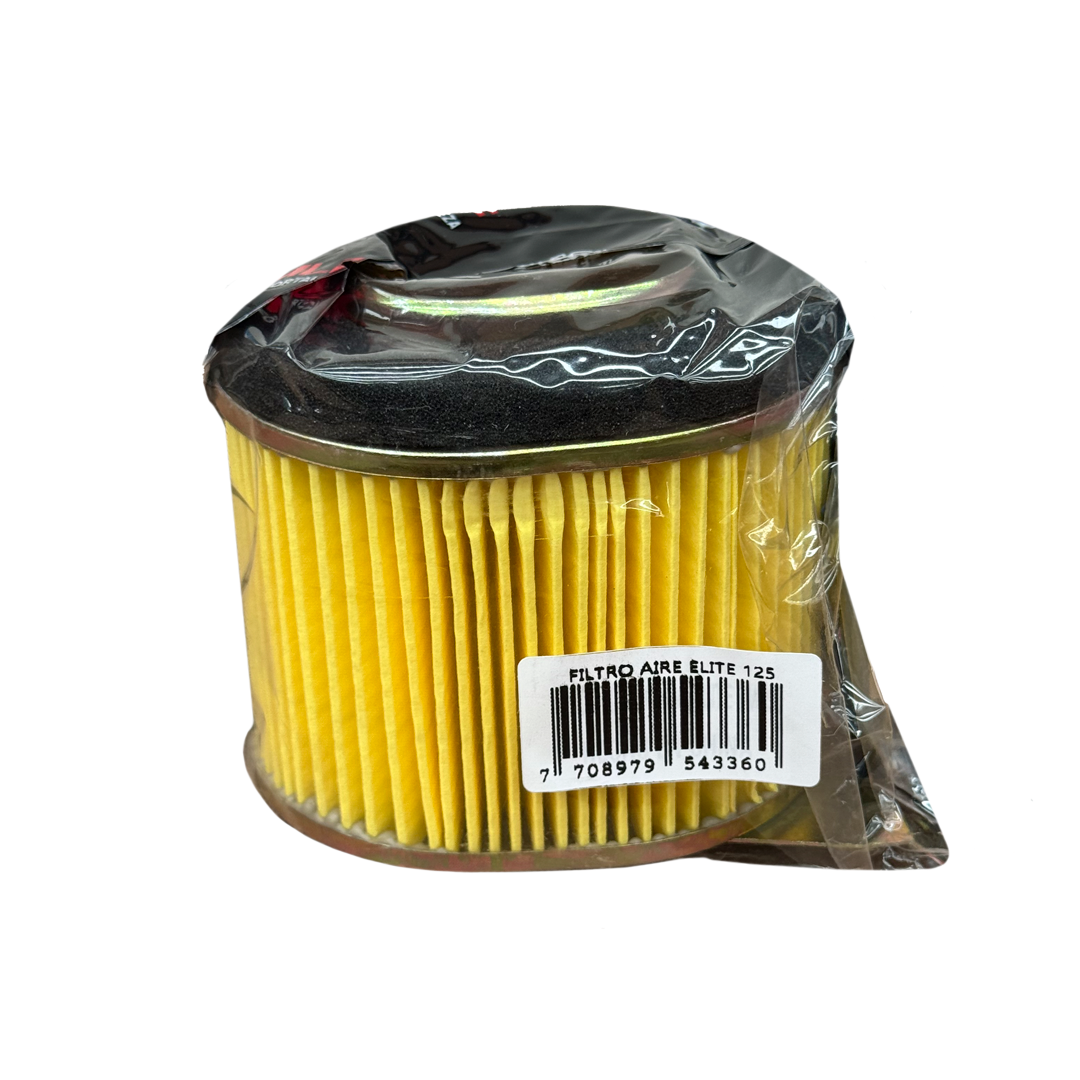 Elemento Filtro Aire