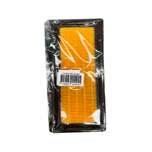 Elemento Filtro Aire