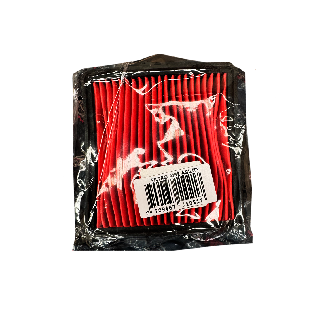 Elemento Filtro Aire