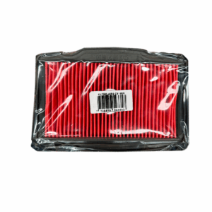 Elemento Filtro Aire