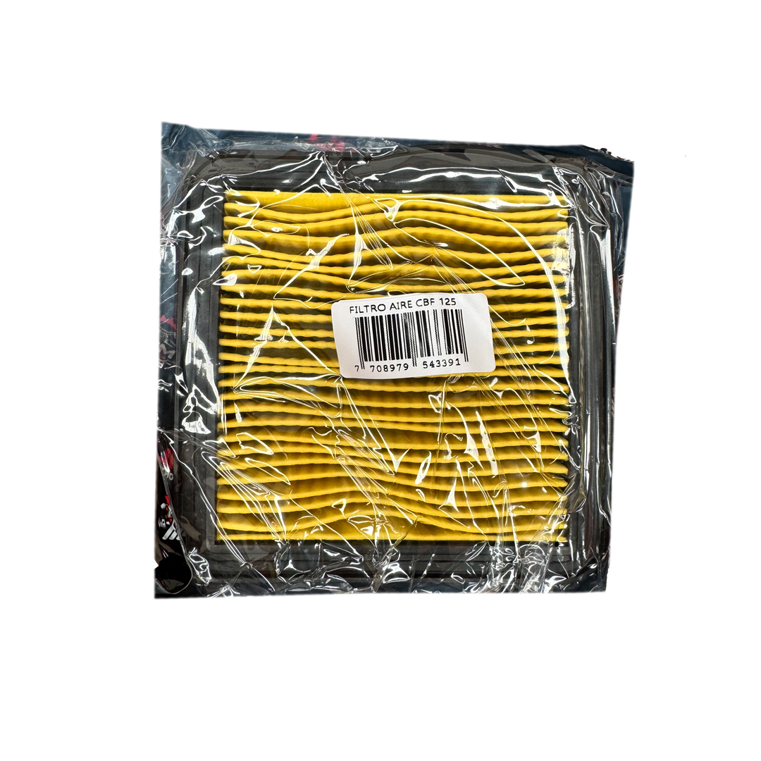 Elemento Filtro Aire