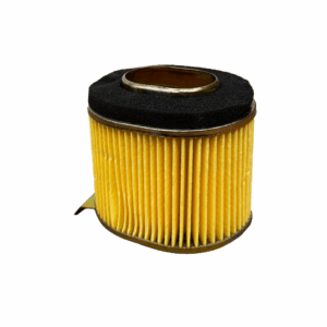 Elemento Filtro Aire